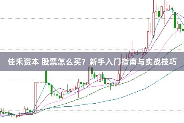 佳禾资本 股票怎么买？新手入门指南与实战技巧