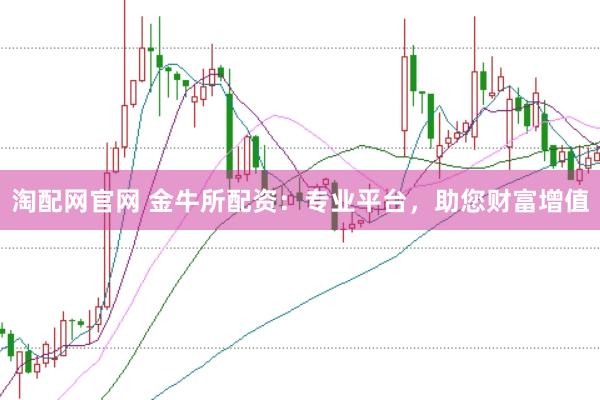 淘配网官网 金牛所配资：专业平台，助您财富增值