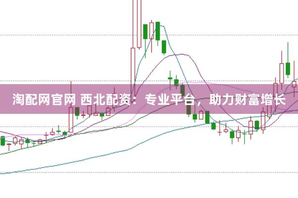 淘配网官网 西北配资：专业平台，助力财富增长