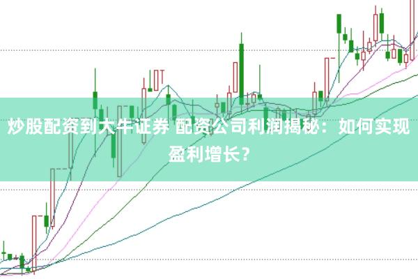 炒股配资到大牛证券 配资公司利润揭秘：如何实现盈利增长？