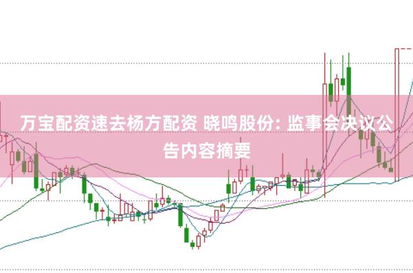 万宝配资速去杨方配资 晓鸣股份: 监事会决议公告内容摘要