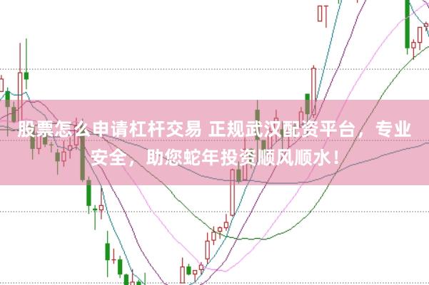 股票怎么申请杠杆交易 正规武汉配资平台，专业安全，助您蛇年投资顺风顺水！